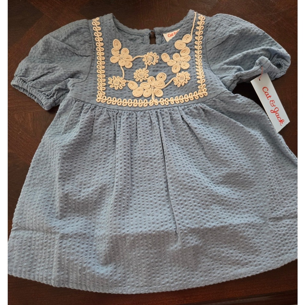 Cat & Jack Baby Girls Blue Seersucker Embroidered Dress Set 12M
